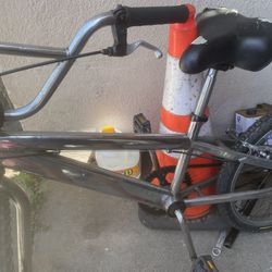Dino Bmx