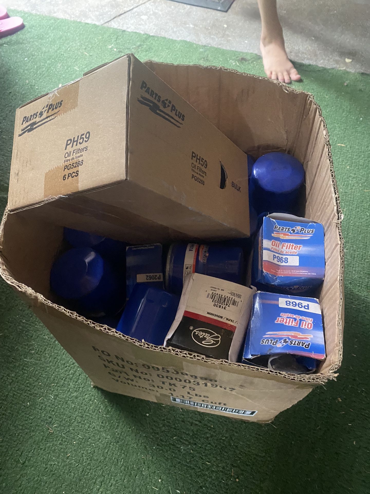 New Oil Filters. Whole Box.