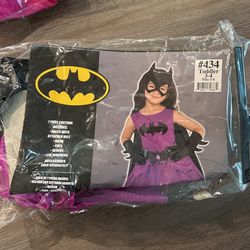 Batgirl Costume