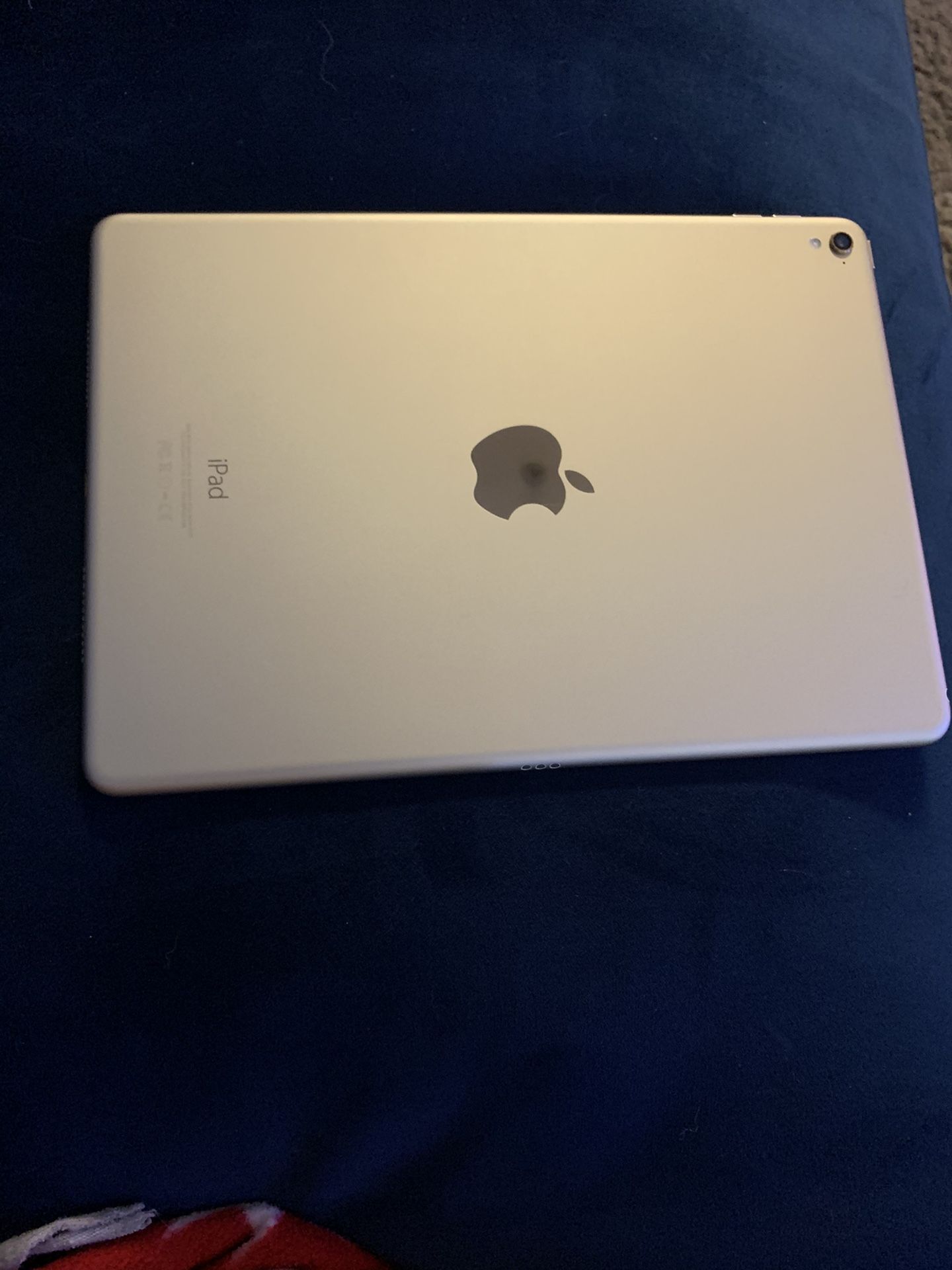iPad Pro