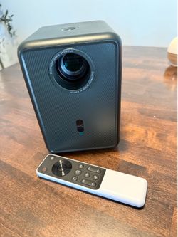 Indoor/outdoor projector