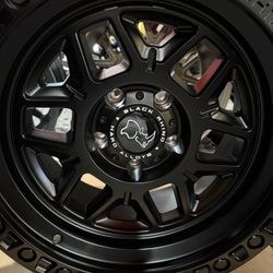 17x9” BLACK RHINO 🦏 