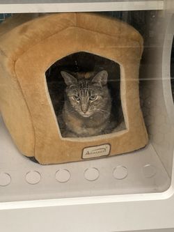 Holliday Cards !!!!!!!!! Special Starting At $30 