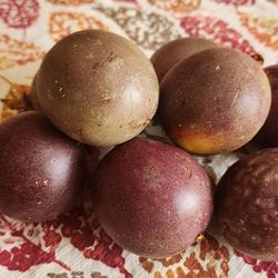 Purple Passion Fruit, Pasiflora, Maracuya 5 for $3