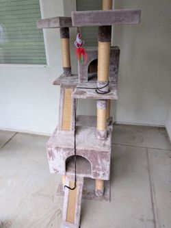 Cat Play Palace
