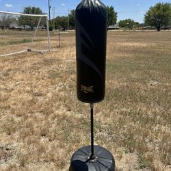 Everest Punching Bag 