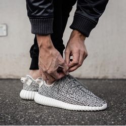 Yeezy Boost 350 “Turtle Dove “