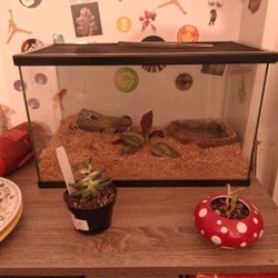 20 Gal Tank 