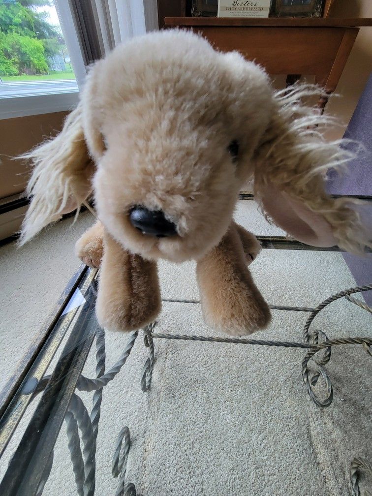 TY Beanie Babies Spunky The Cocker Spaniel Dog