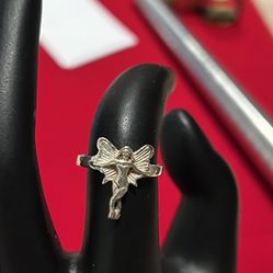 Silver Fairy Ring