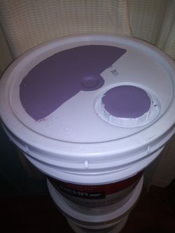 Interior paint BEHR