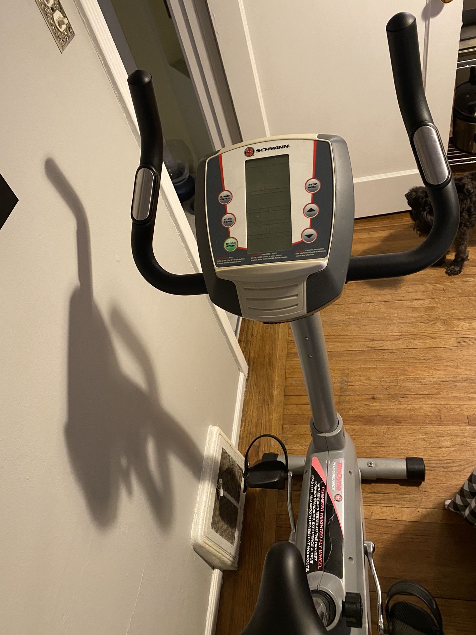 schwinn 120 stationary bike