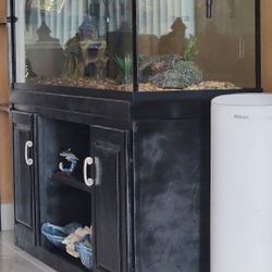 120 Gallons Fish Tank 