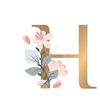 H