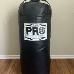 Pro Boxing Punching Bag 