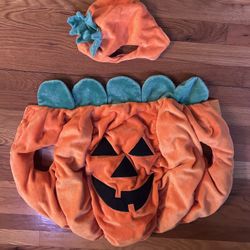 Halloween dog Costumes