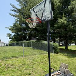 Lifetime Basketball Hoop