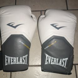 Everlast Boxing Gloves