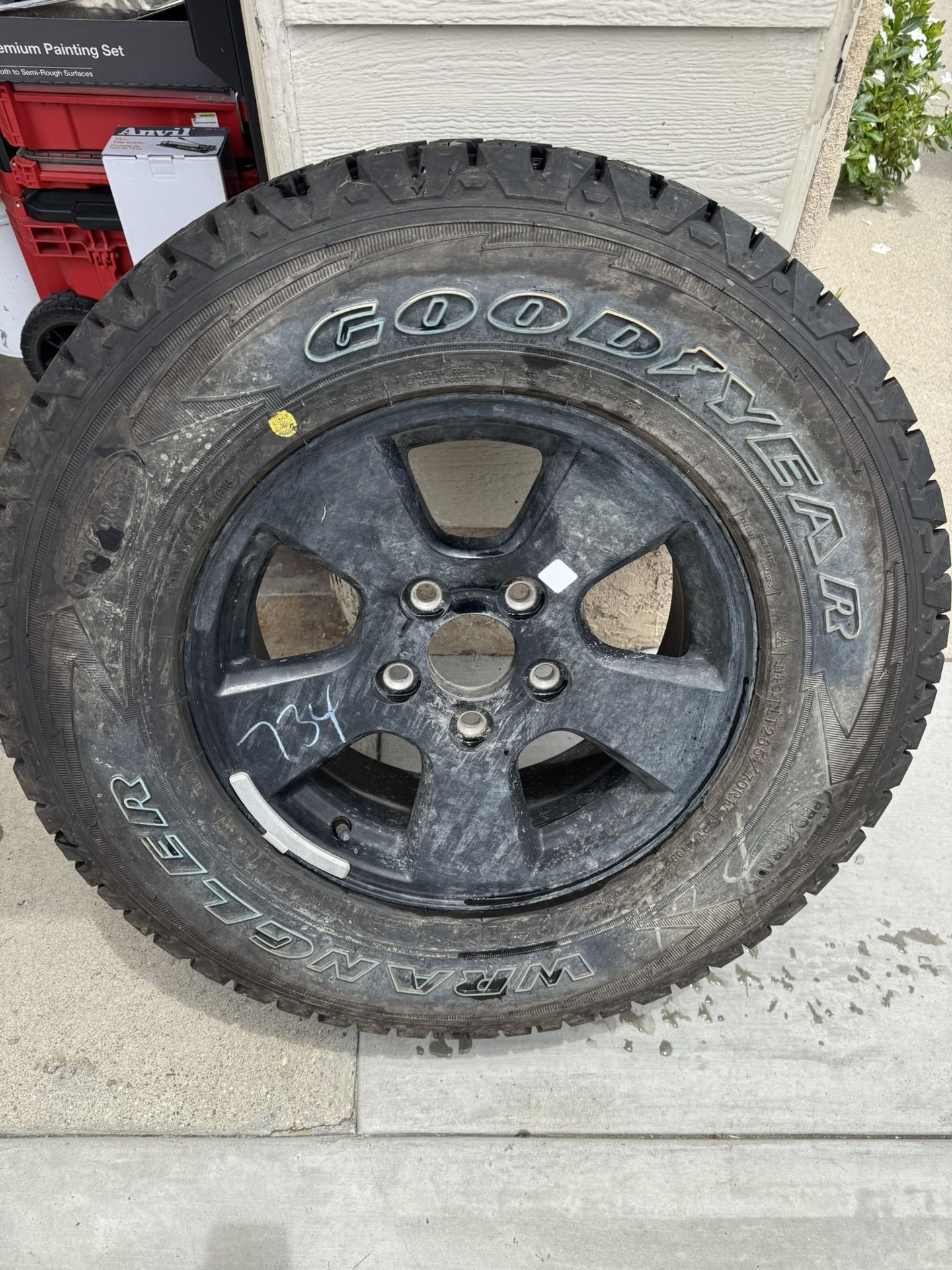 New Full Sized Spare