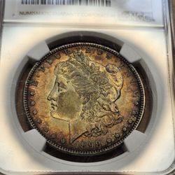 Toned Morgan Dollar 