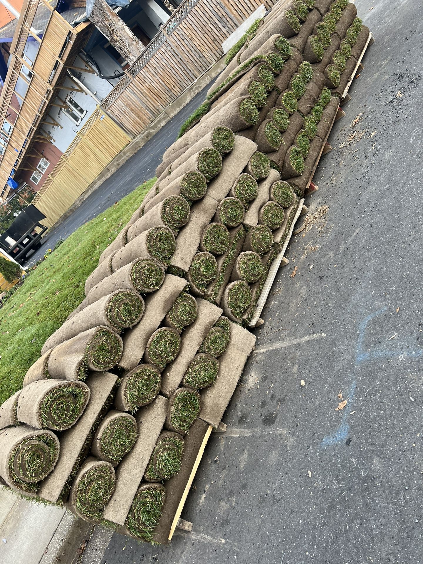 Fresh Sod