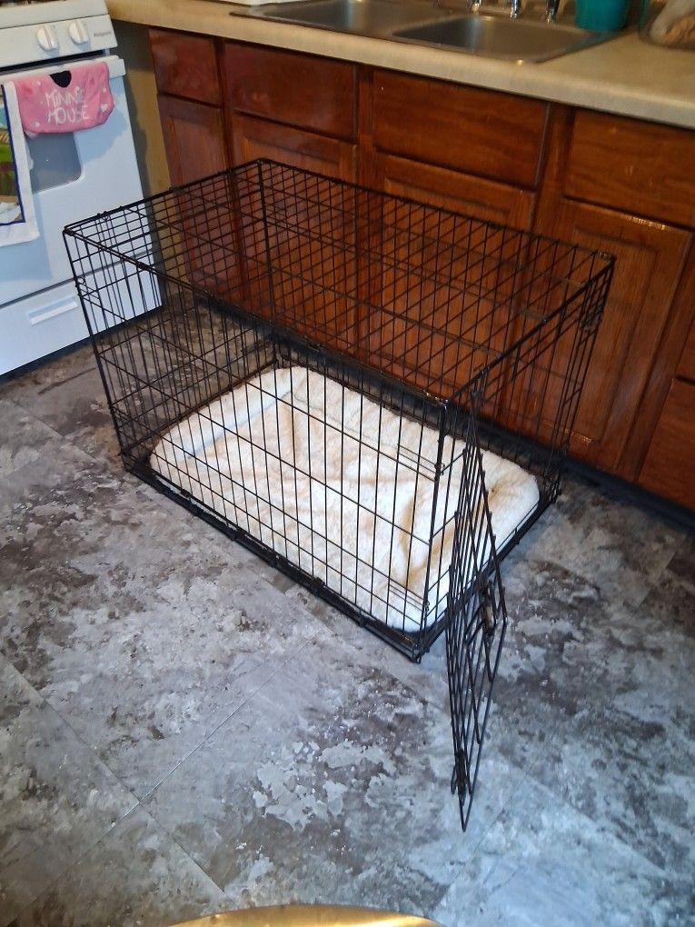 Dog Crate