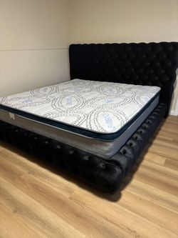 Queen Size Mattress Pillow Top New