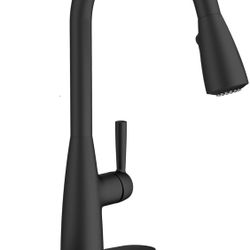 Open Box Fairbury Single-Handle Pull-Down Dual Spray Kitchen Faucet 1.8 GPM with Lever Handle