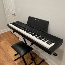 Williams Digital Piano