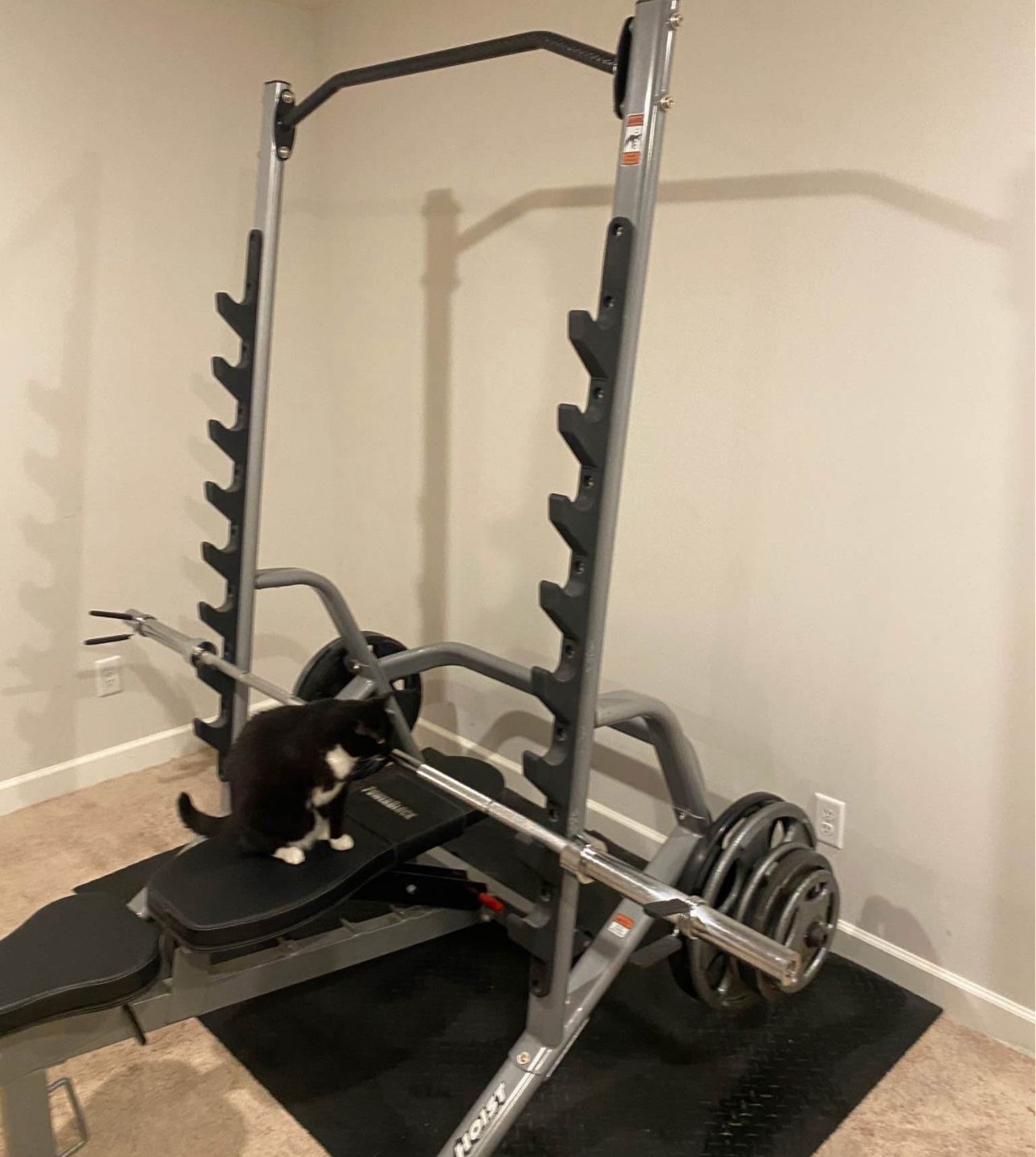 Hoist Home Gym