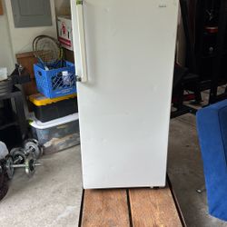Sanyo Standing Freezer