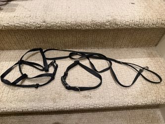 Dog Harness, Leash And Collar Set