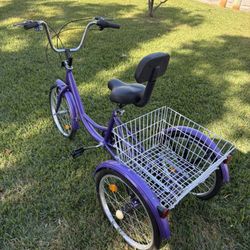 Grandma’s 3 Wheel Bike