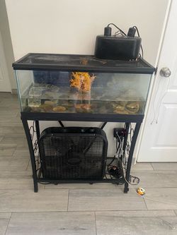 20gallon fish tank and stand