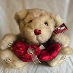 Plush Bear New With Tag Very Cute 12 Inch