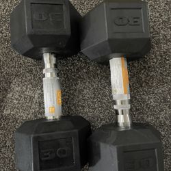 Pair 30 # POUND Weights 