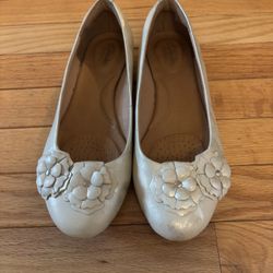 Clarks Falts