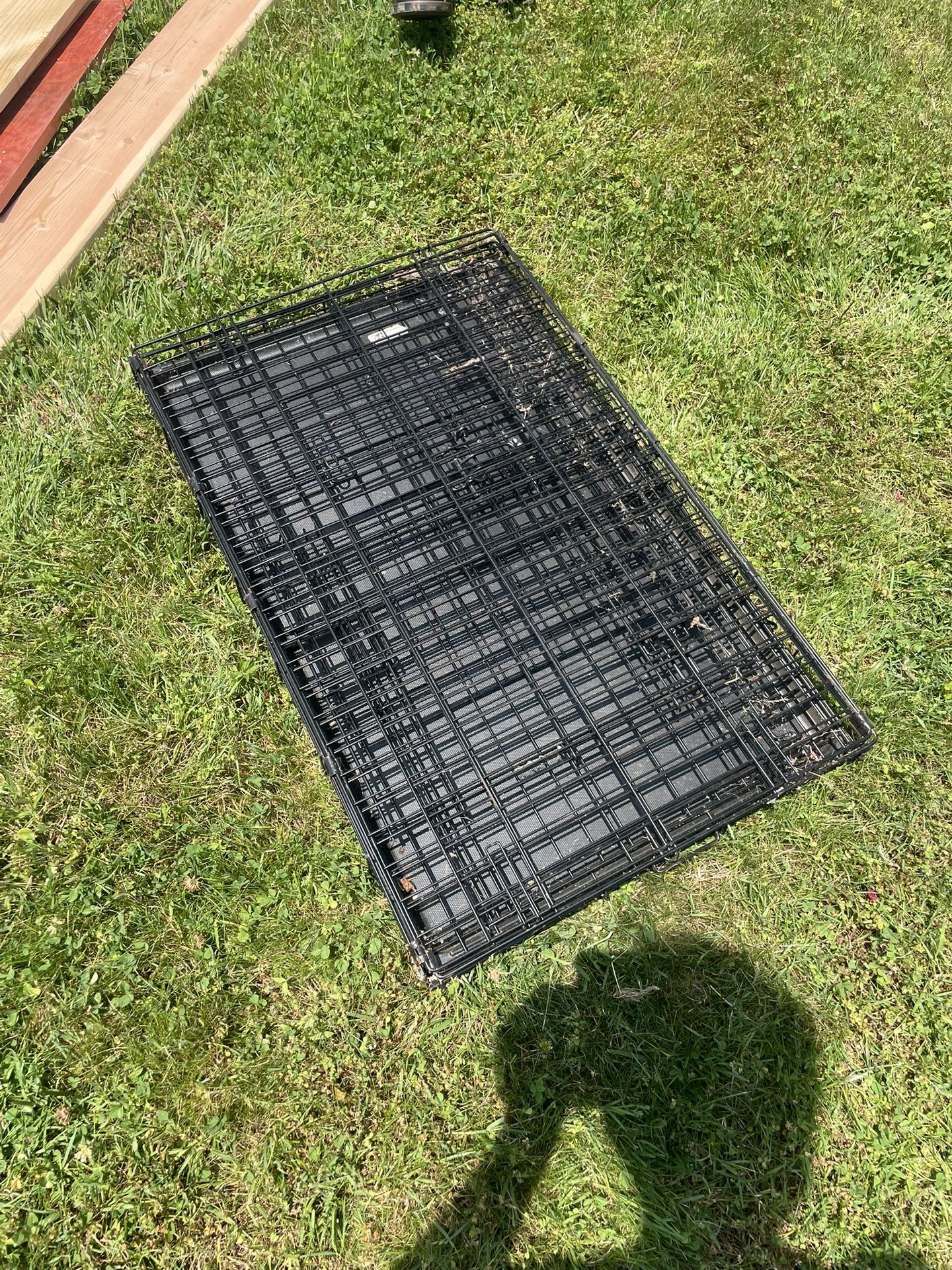 Collapsible Dog Crate With Divider