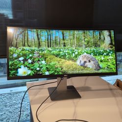 Dell 34" curved 1440p 60hz