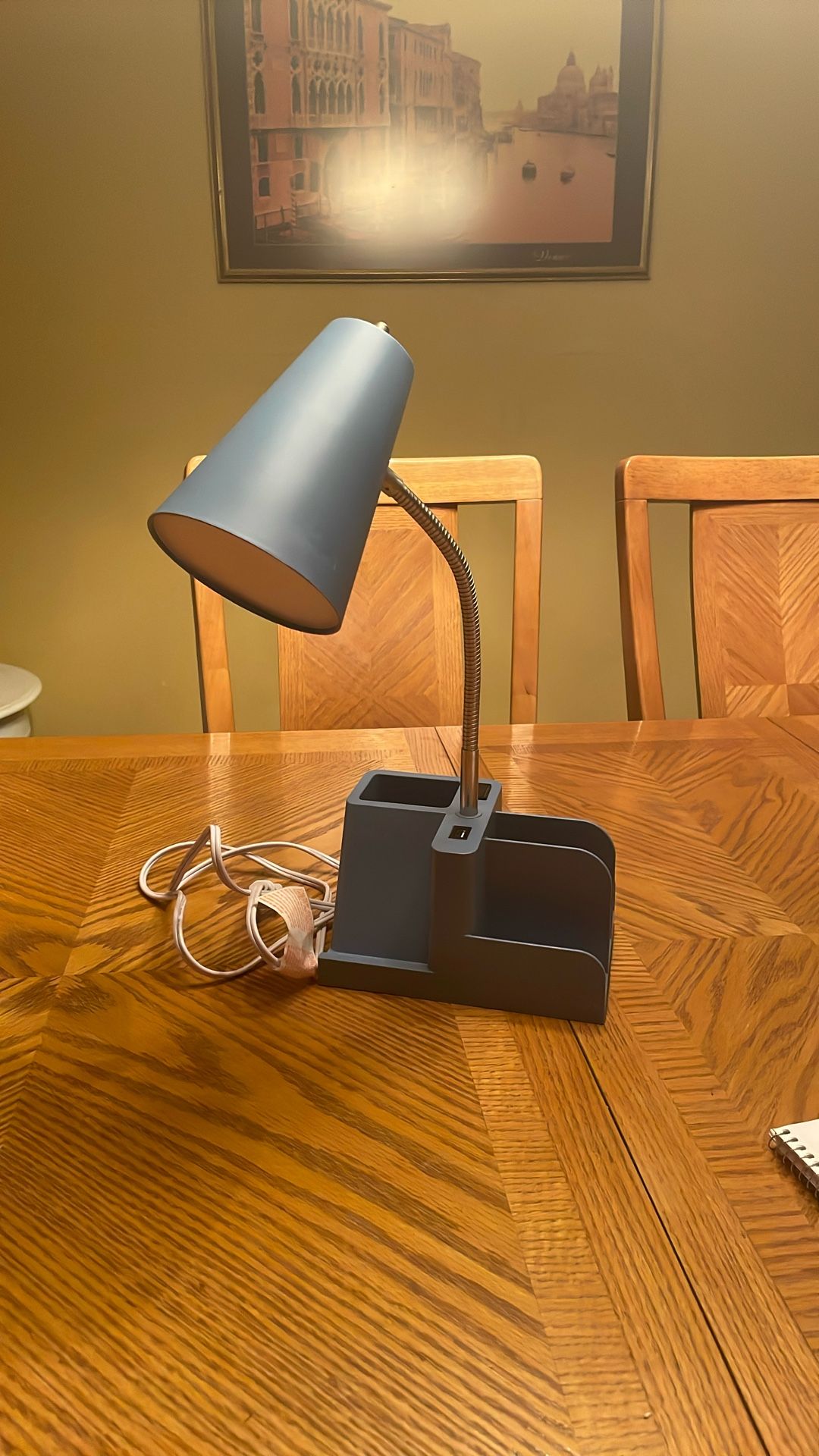 Blue Adjustable Desk Lamp w/Charger