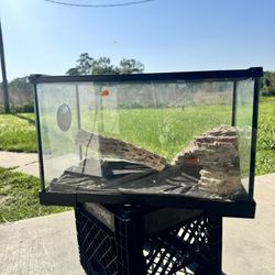 Reptile Aquarium 