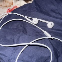 Iphone Headphones