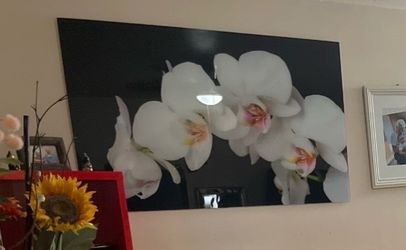 Orchid 3D glass wall decoration