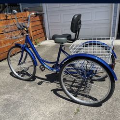Adult Tricycle