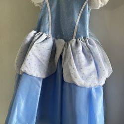 Disney Princess Cinderella dress costume