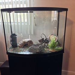 Aquarium