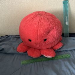 Teddy Octopus