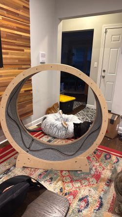 New Star Catwheel
