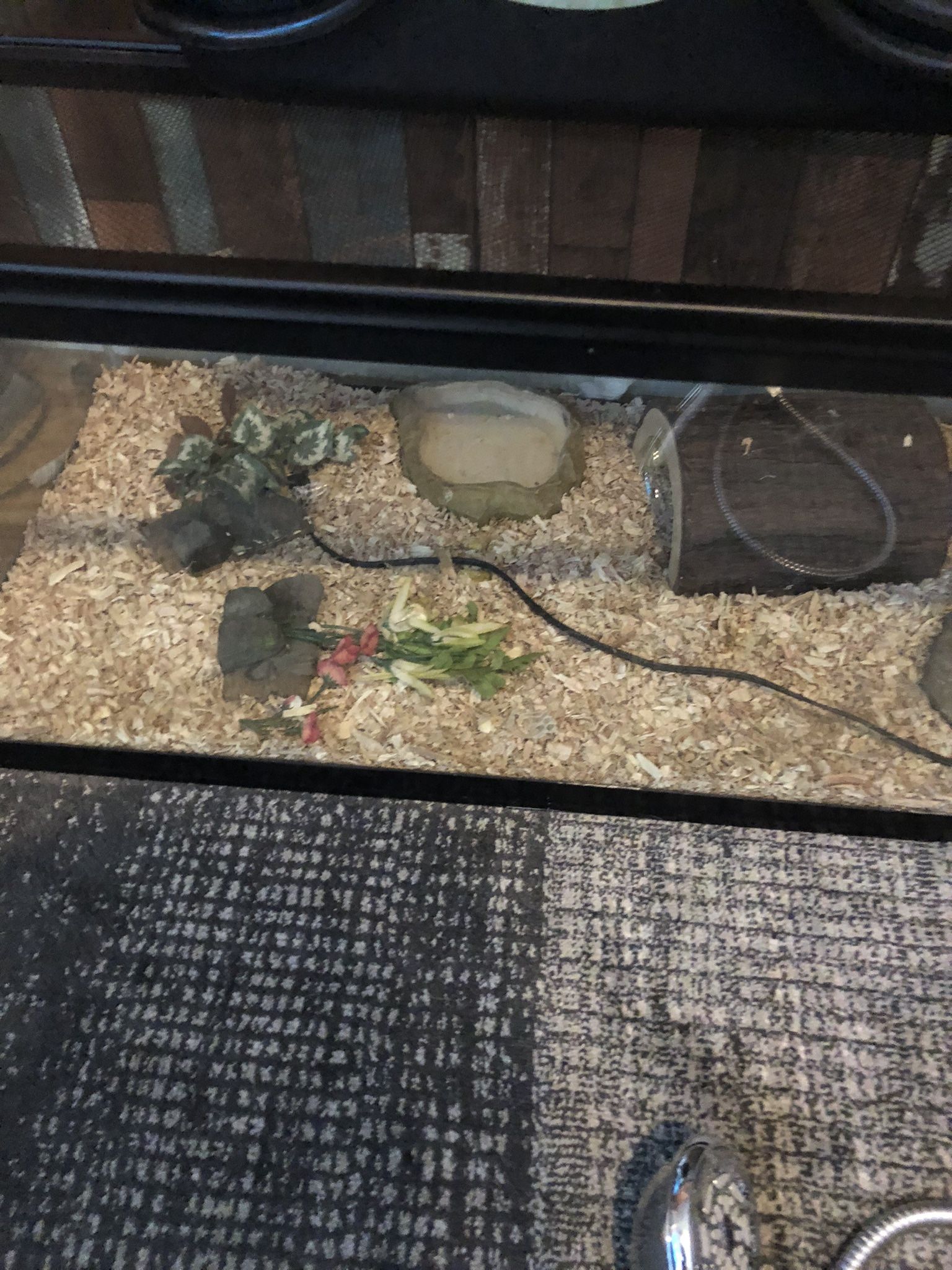Breeder Tank