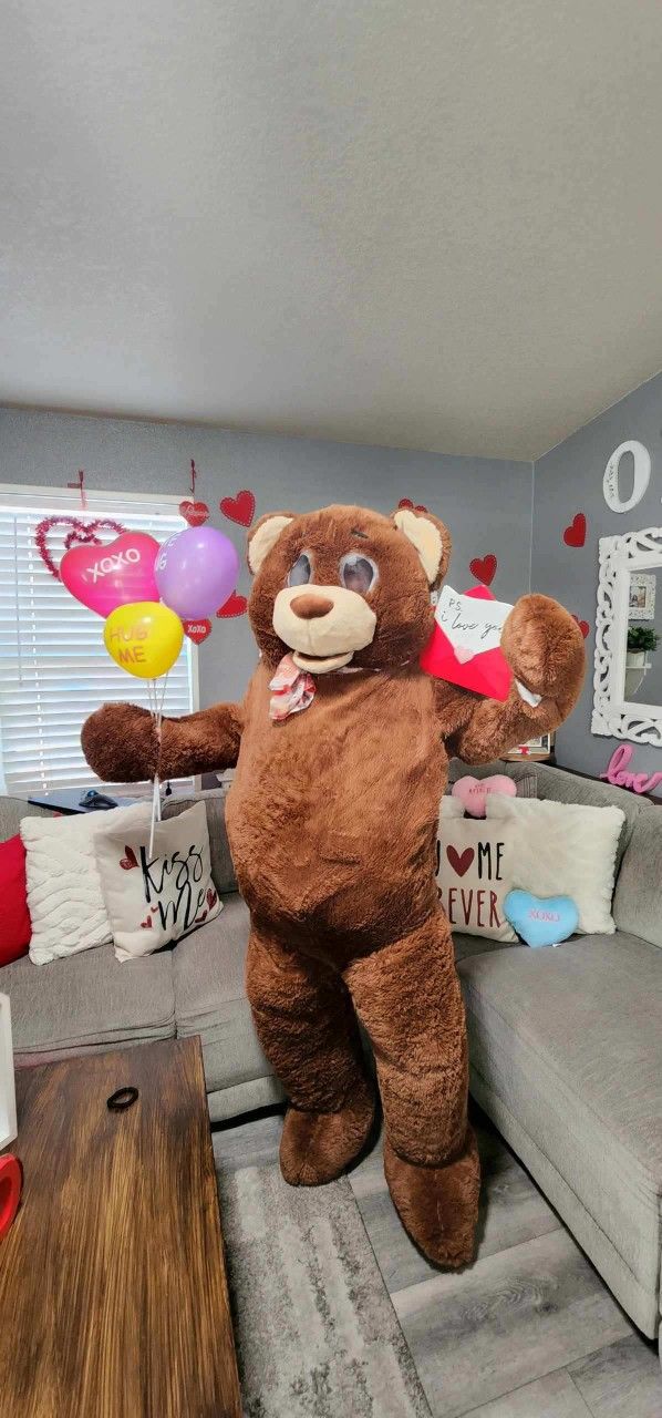 Valentines Teddygram Delivery Service